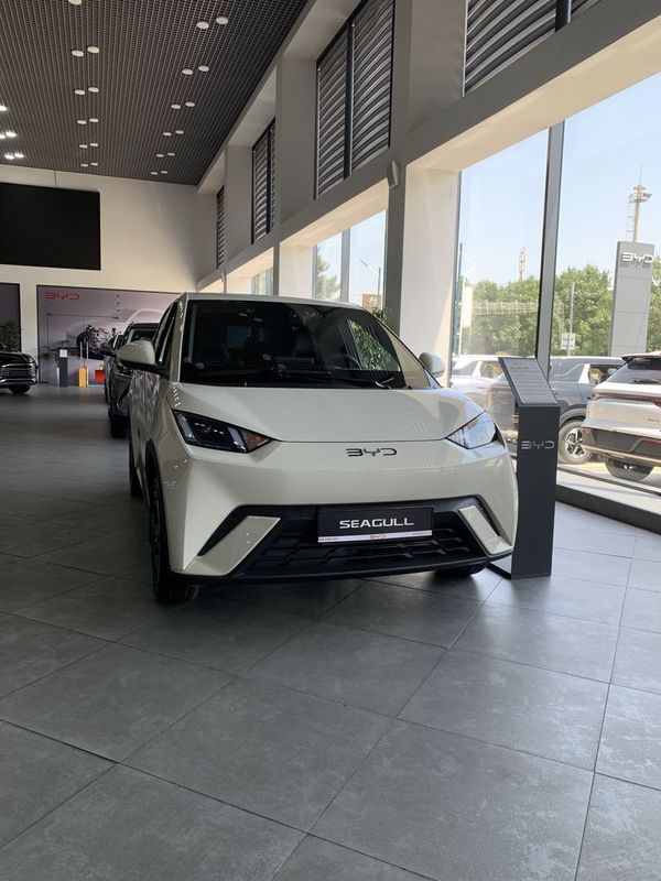 BYD SEGULL salonda tayyor 8 yil garantiyali BYD SEGULL salonda tayyor 8 yil garantiyali