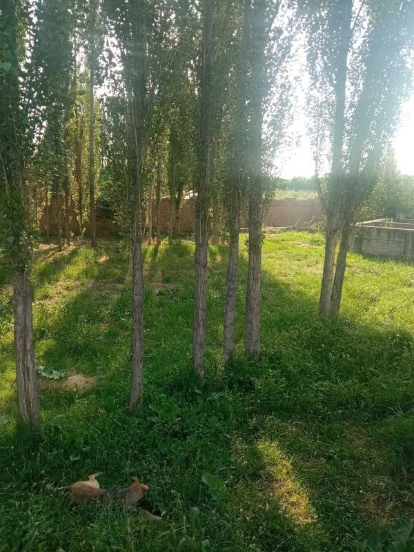 Продается участок земли Продается участок земли