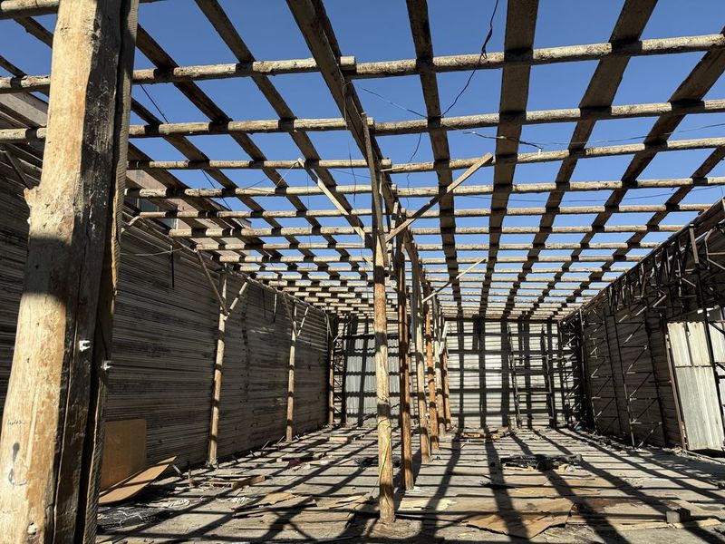 Тосин, Российский сосна. 270 000 сум Тосин, Российский сосна. 270 000 сум