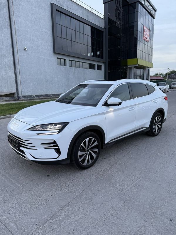 Byd Chempion Gbrd Byd Chempion Gbrd