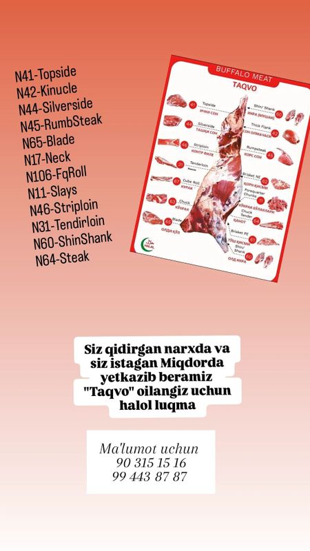 Muzlatilgan Gusht Dastavka Muzlatilgan Gusht Dastavka