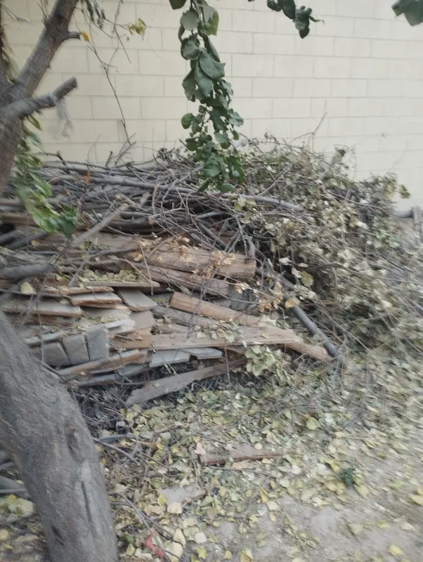 Утин сотилади срочно пул зарил буб колди Утин сотилади срочно пул зарил буб колди