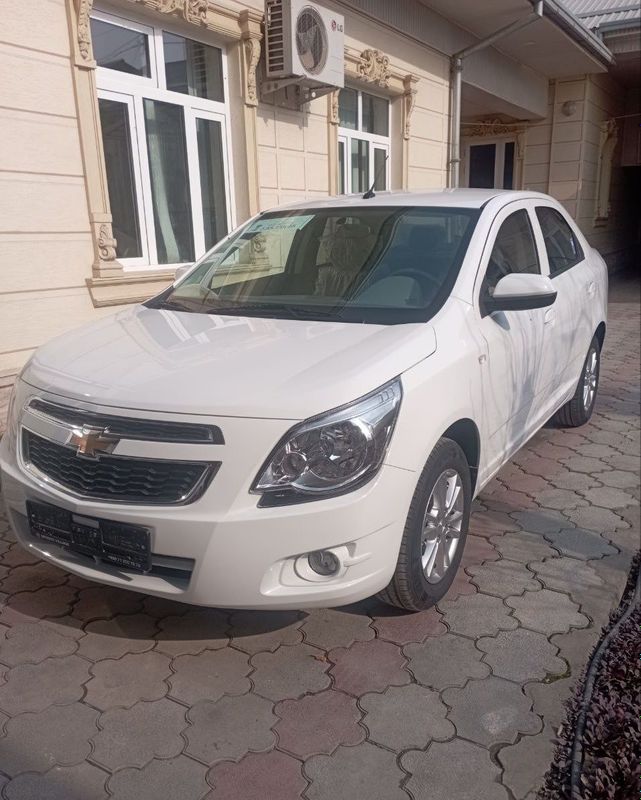 Cobalt Stayl 2025 Cobalt Stayl 2025
