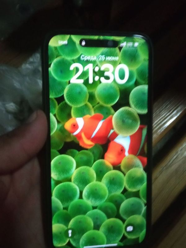 Ayfon 15 pro maxs