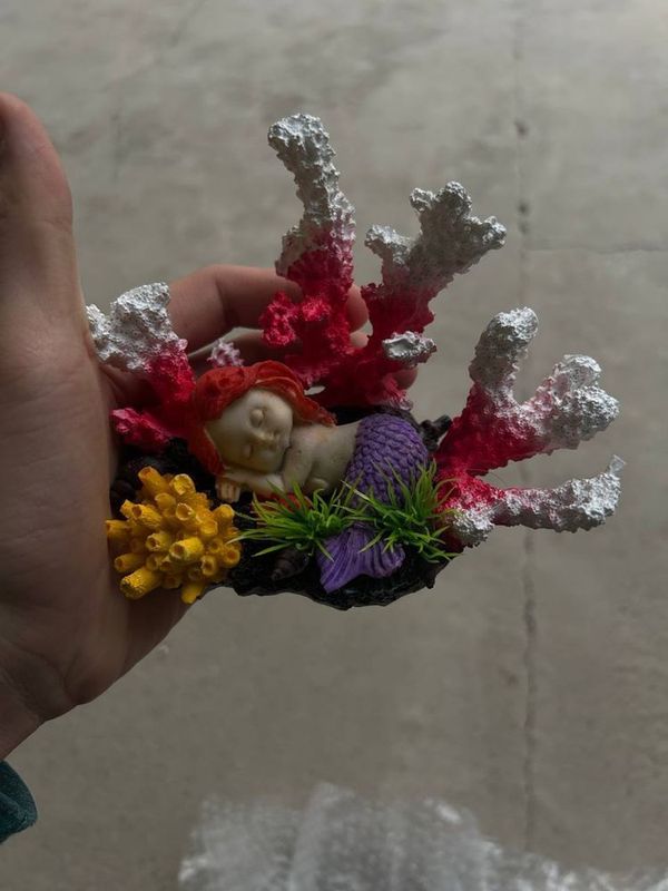Коралл со спящей русалкой
