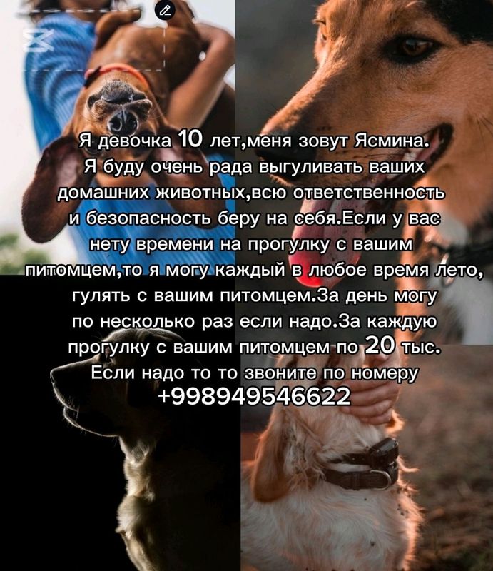 Услуга гулянка. Услуга гулянка.
