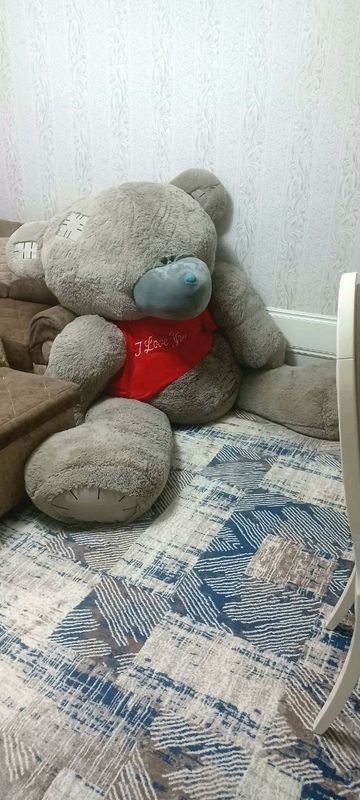 теддй йумшок уйинчок янги теддй йумшок уйинчок янги