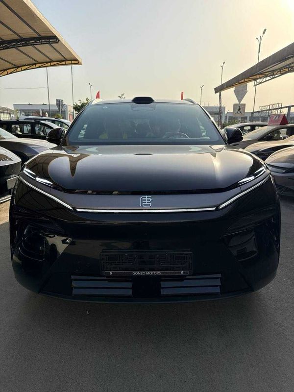Tang L EV 600 KM Запас хода Tang L EV 600 KM Запас хода