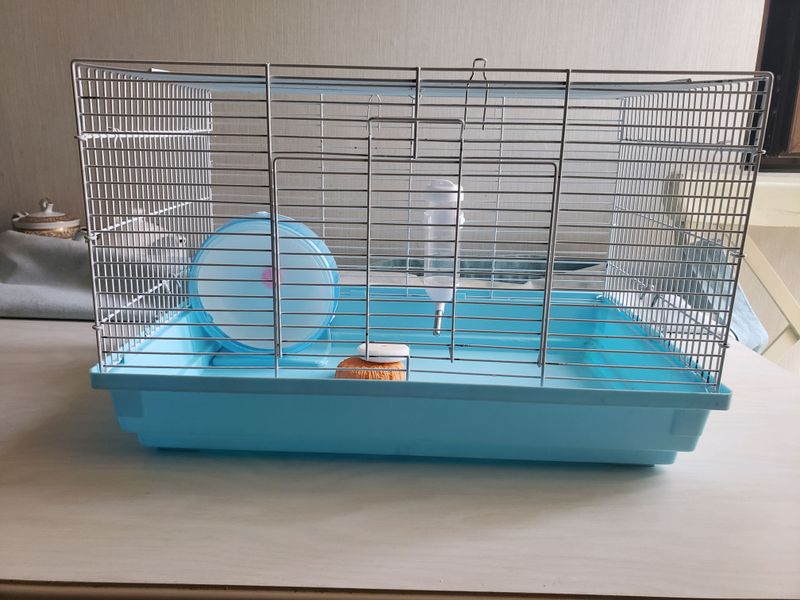 Клетка Клетка