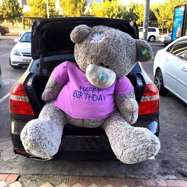 Teddy ayiqlarmiz