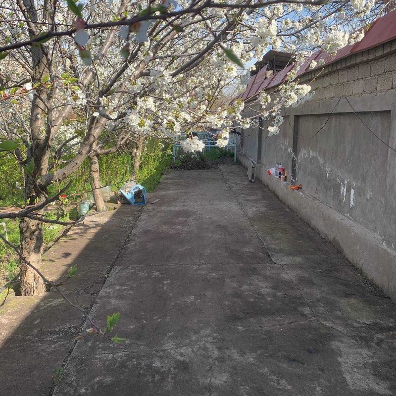 Частный дом в пригороде ( Дача ) на Джумабазаре Частный дом в пригороде ( Дача ) на Джумабазаре