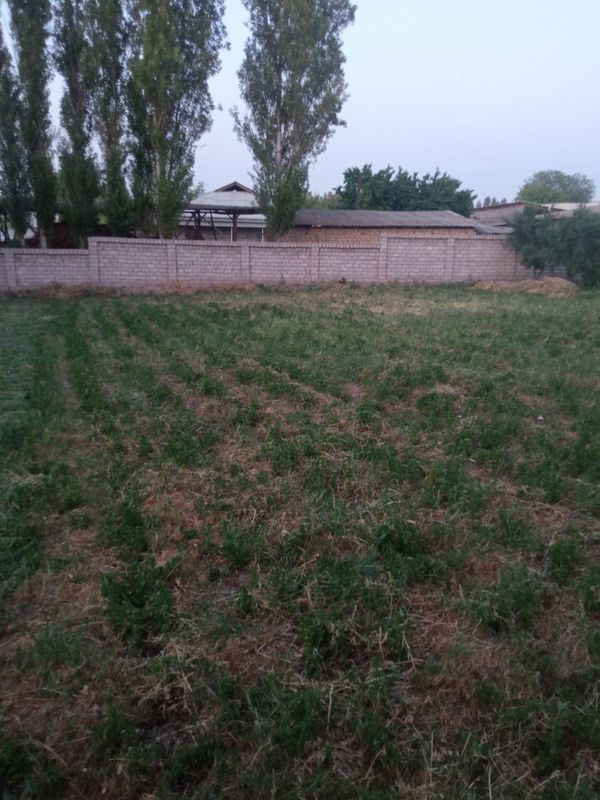 Tosh vil Nurafshon shaharda srochna uchaska sotiladi 6 sotix Tosh vil Nurafshon shaharda srochna uchaska sotiladi 6 sotix