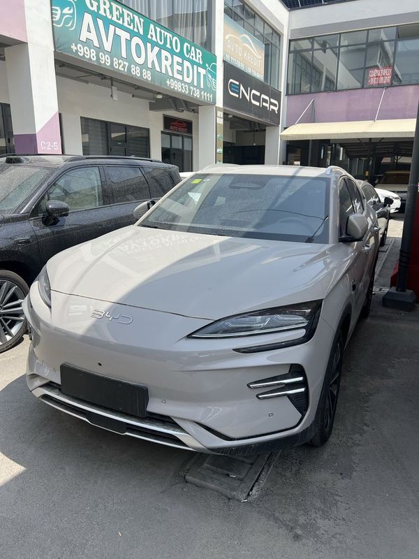 BYD Chempion Smart 605km BYD Chempion Smart 605km