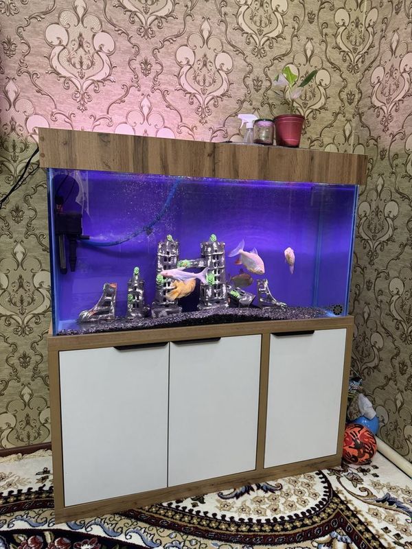 Akvarium sotiladi 280litr 1sm shisha komplekt