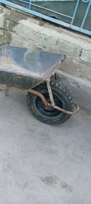 bir bolonli arava