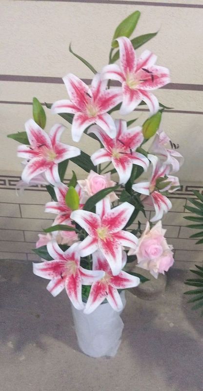Ajoyib qoʻl mexnati Ajoyib qoʻl mexnati