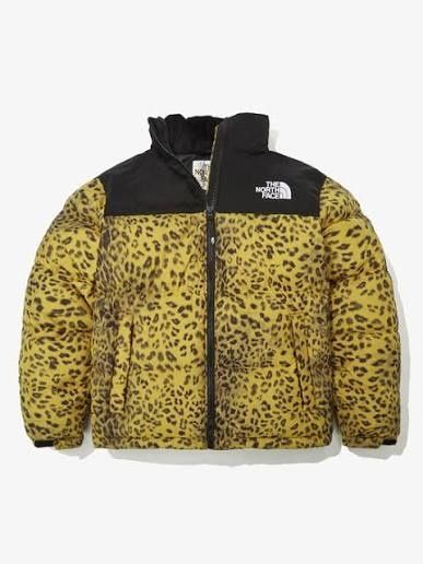 Оригинальная куртка the north face