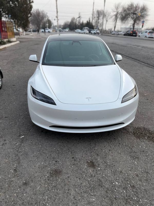 tesla model 3 haylend