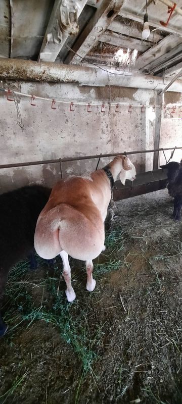 Зотга деганлар учун Зотга деганлар учун