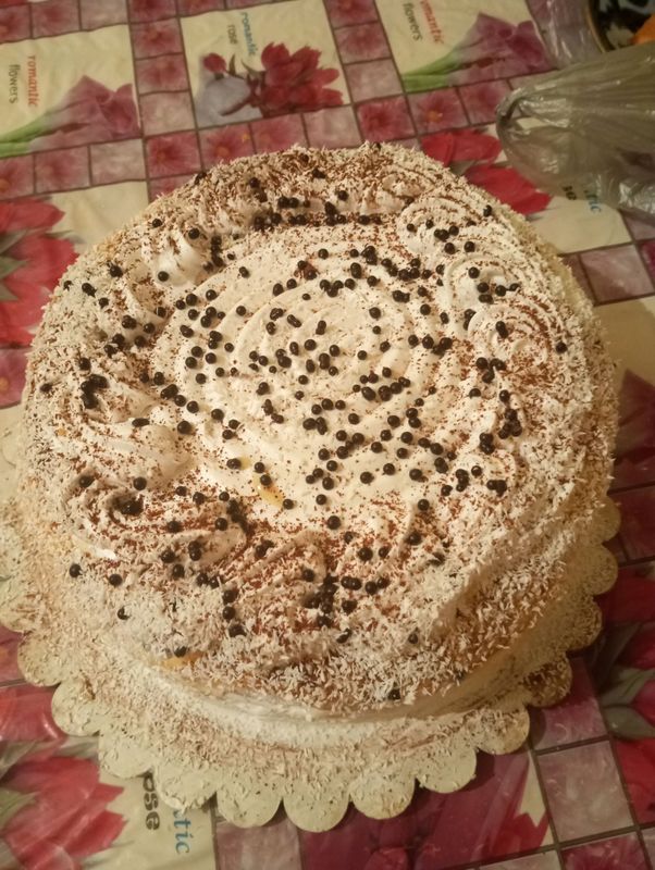sviji tort toʻgʻilgan kun va bayramlar uchun sviji tort toʻgʻilgan kun va bayramlar uchun