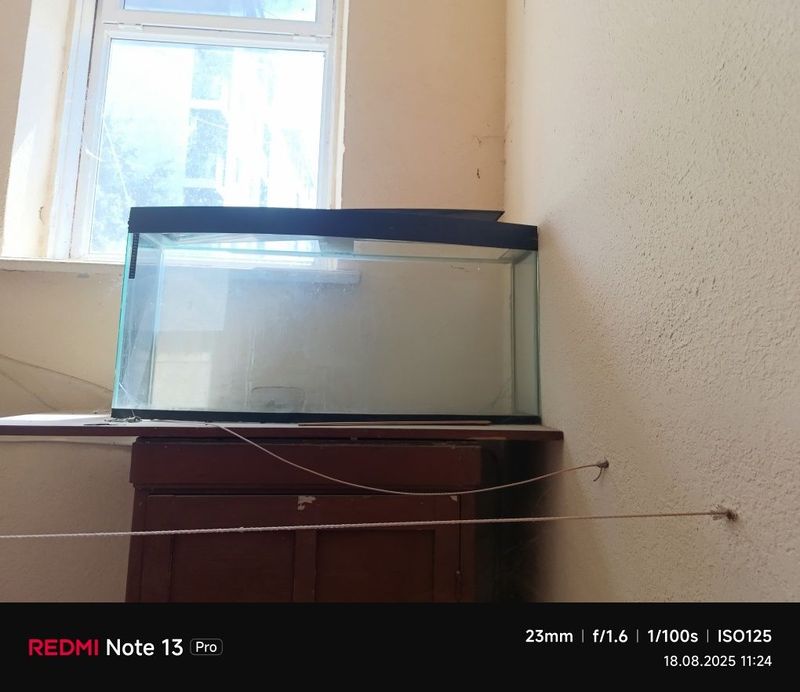 Продам аквариум 250 л Продам аквариум 250 л