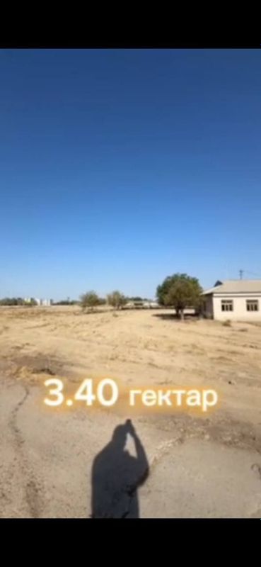 Сирдарё вилоятида М-39 трасса дан жой сотилади