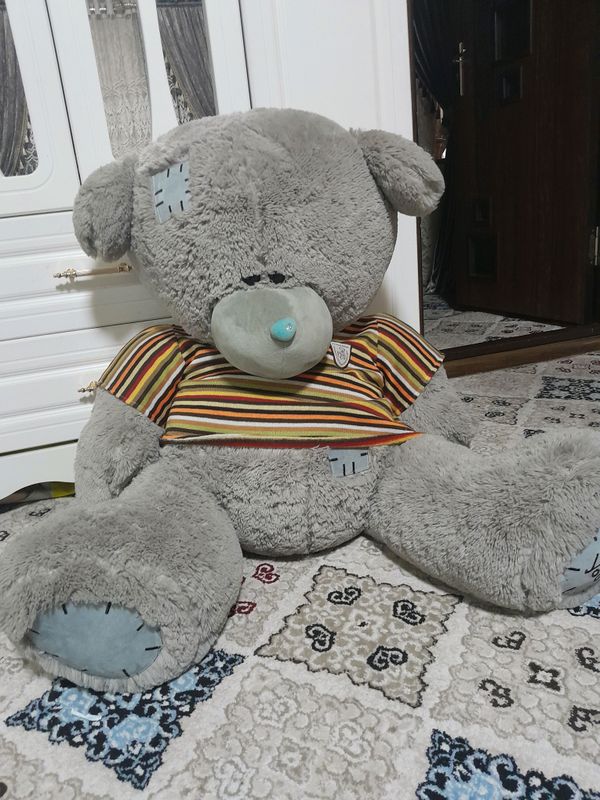 1 yil oldingi teddy sotiladi yangi holatda