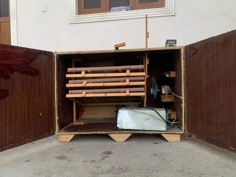 Inkubator bedana uchun Inkubator bedana uchun