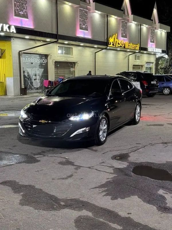 Malibu 2 premer 2022