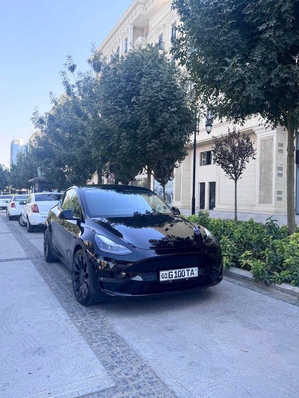 Tesla Model Y Performance Tesla Model Y Performance