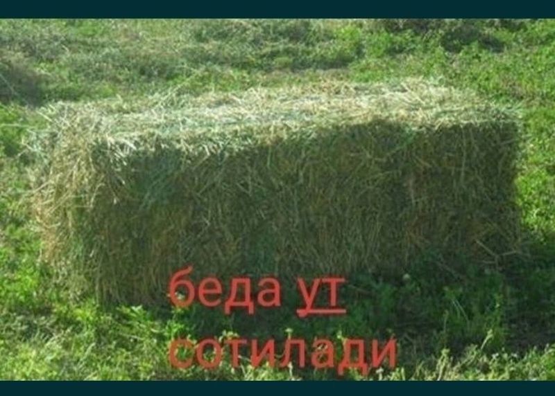 Bede preslar sotiladi Bede preslar sotiladi