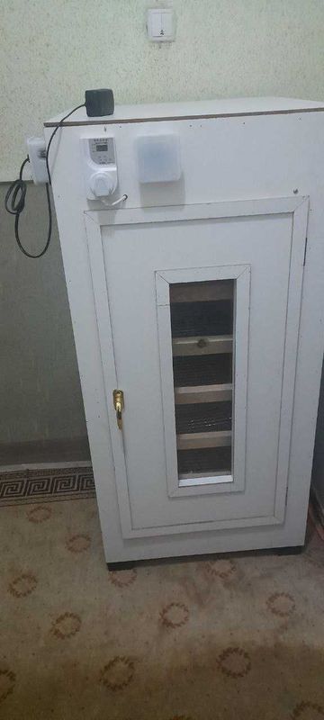 Inkubatr 500 tuhumli Inkubatr 500 tuhumli