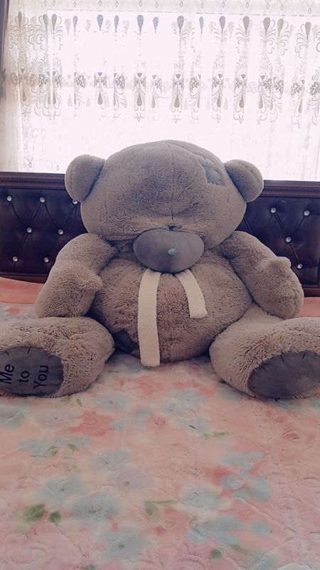 Большая Мишка Teddy, Большая Мишка Teddy,