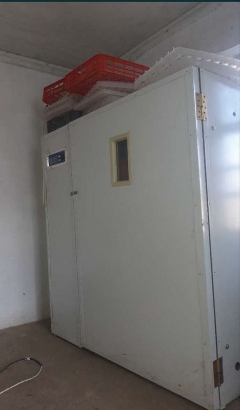 Inkubator sotiladi yangi holatda Inkubator sotiladi yangi holatda