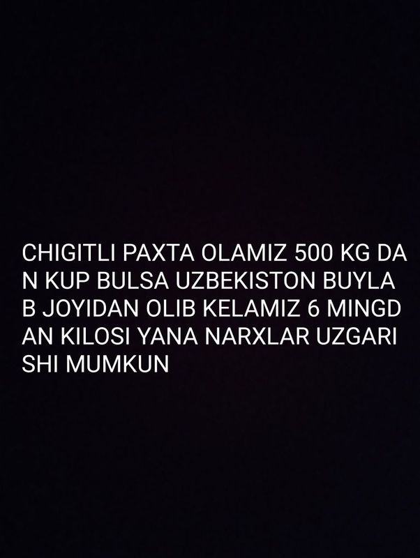 6 Mingdan kilosi chigitli paxta olamiz 500 kgdan kup bulsa uzb buylab 6 Mingdan kilosi chigitli paxta olamiz 500 kgdan kup bulsa uzb buylab