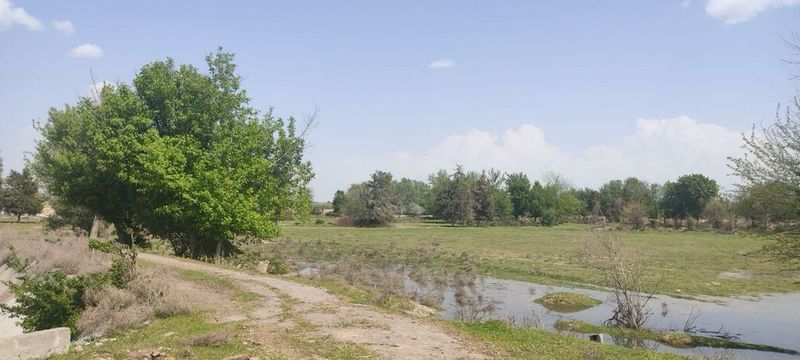 Продается земля 8.2 гектара Таш Море Продается земля 8.2 гектара Таш Море