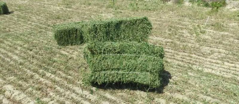 Beda Press Fargona Fergana Беда Прес Beda pres Фарғона Пресс Beda Pres Beda Press Fargona Fergana Беда Прес Beda pres Фарғона Пресс Beda Pres