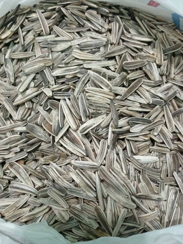 Продается СЕМЕЧКА Сотилади