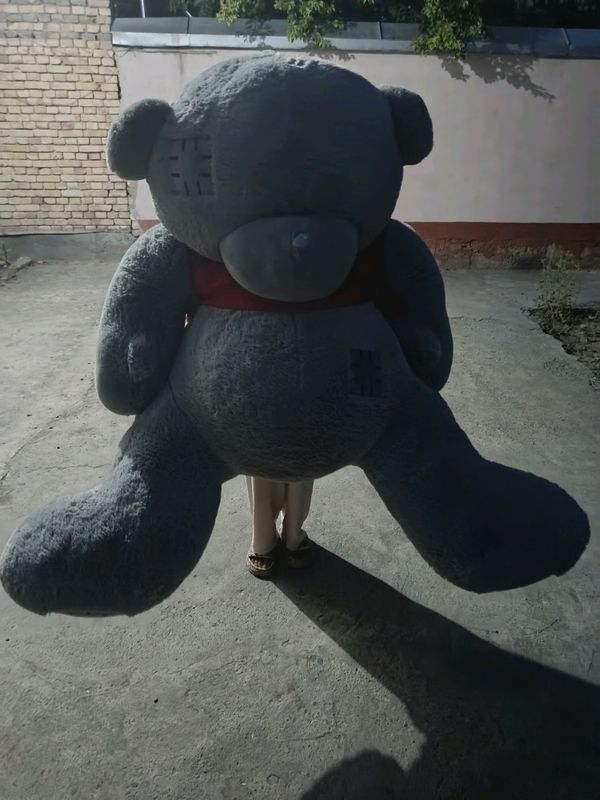 Teddy ayiq Teddy ayiq