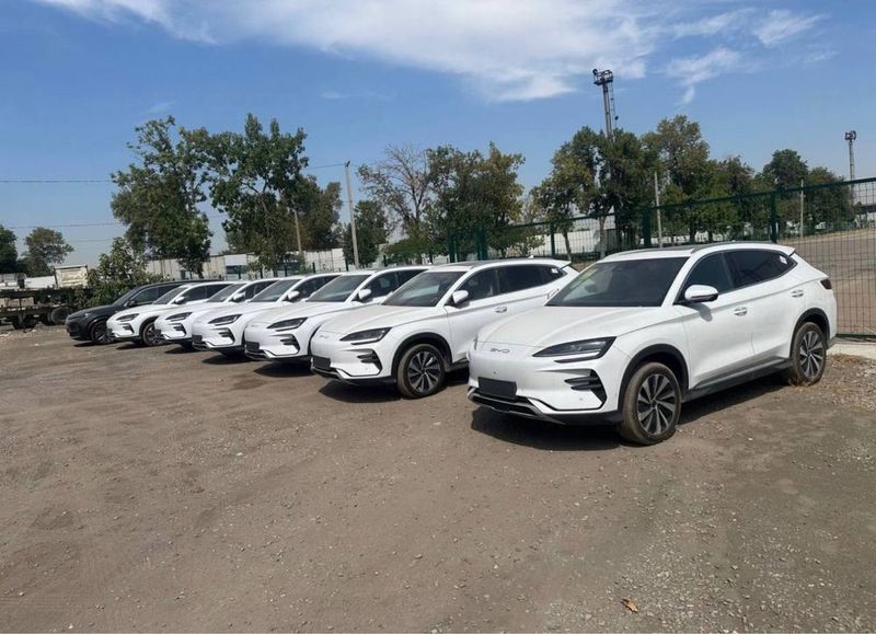 Byd chempion smart 605 Byd chempion smart 605