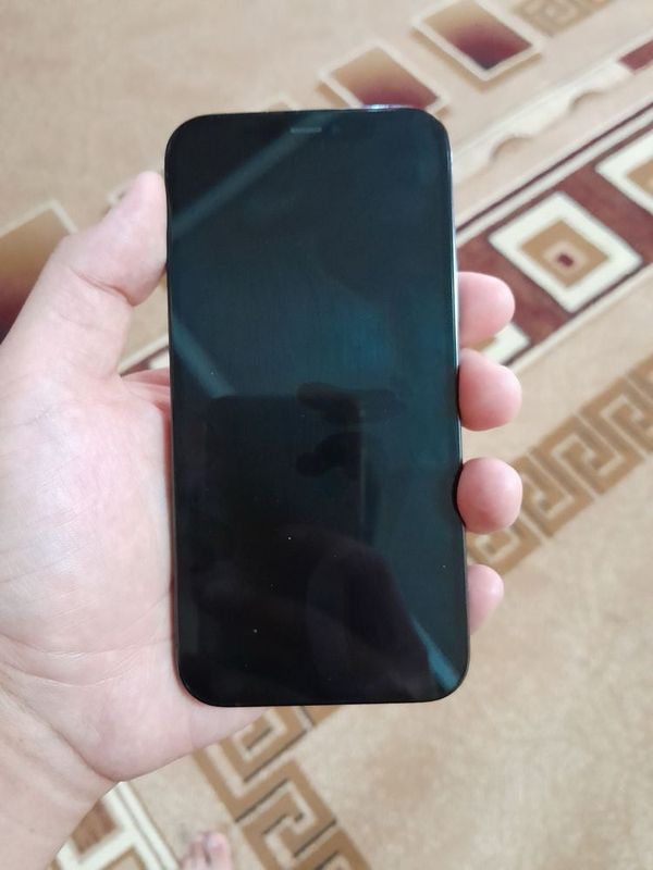 Iphone 12 pro ideal Iphone 12 pro ideal