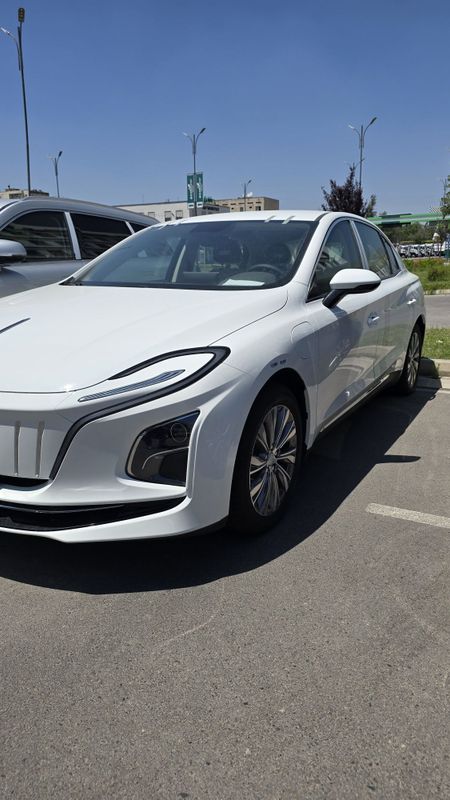 Hongqi eqm5 500km tayyor nalicha