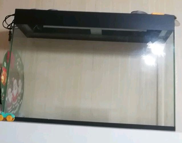аквариум аквариум