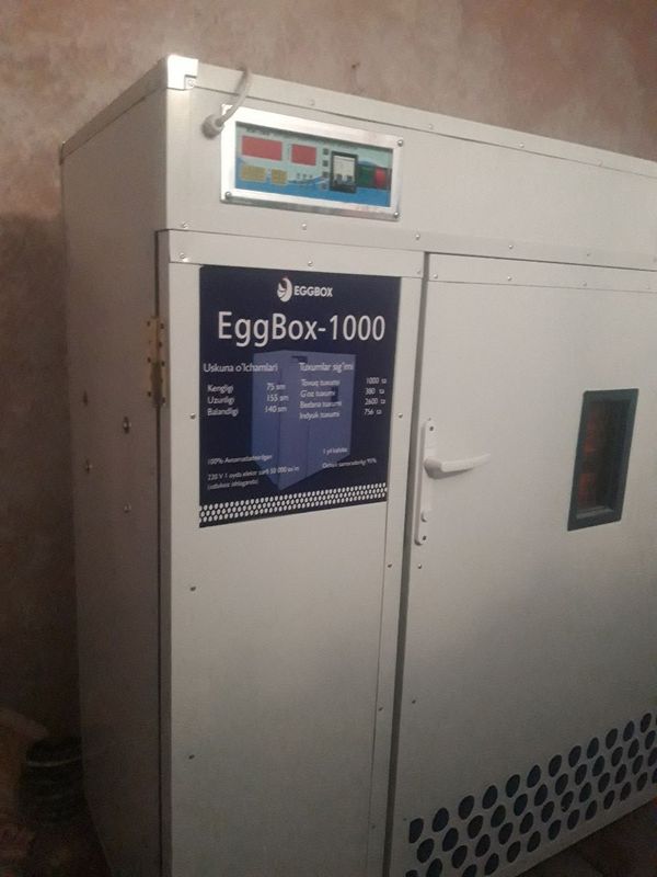 Inkubator sotiladi kafolati bilan. Egg box 1000