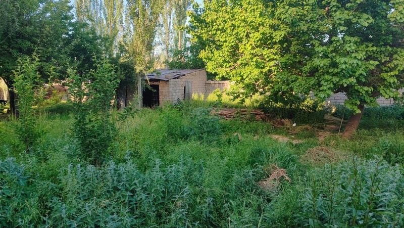 Участок 6 соток (дача Назарбек) Участок 6 соток (дача Назарбек)