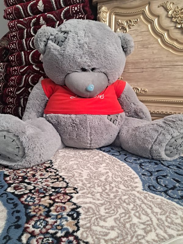 teddy