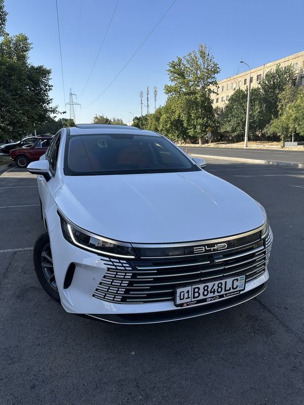 BYD Chazor luxe 55 km full
