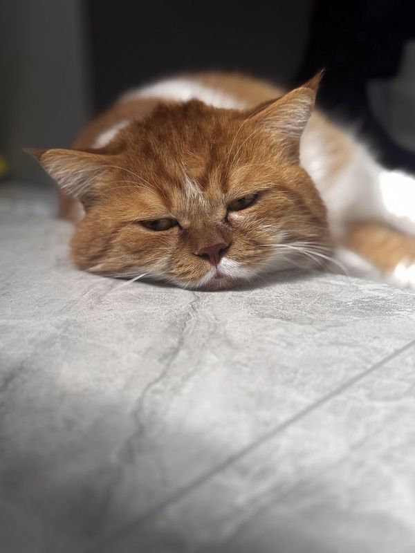 Vyaskaga qiz mushu kere Vyaskaga qiz mushu kere