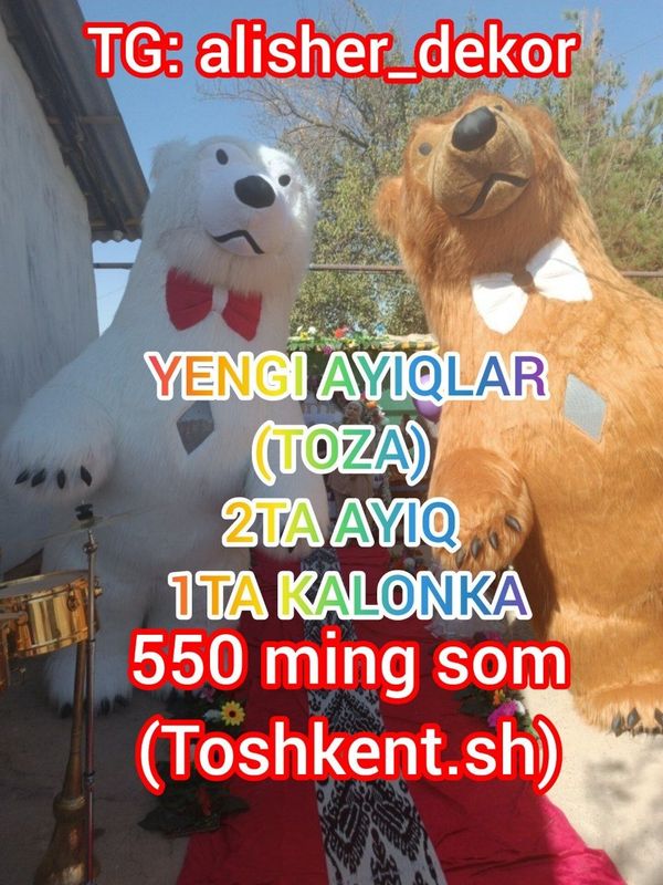 Ayiq ayiqlar teddy oformleniya