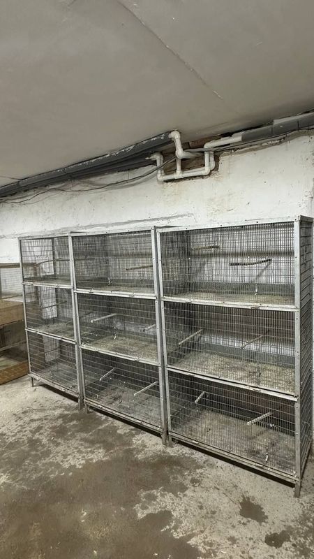 Кафаслар дублонка сотилади Кафаслар дублонка сотилади